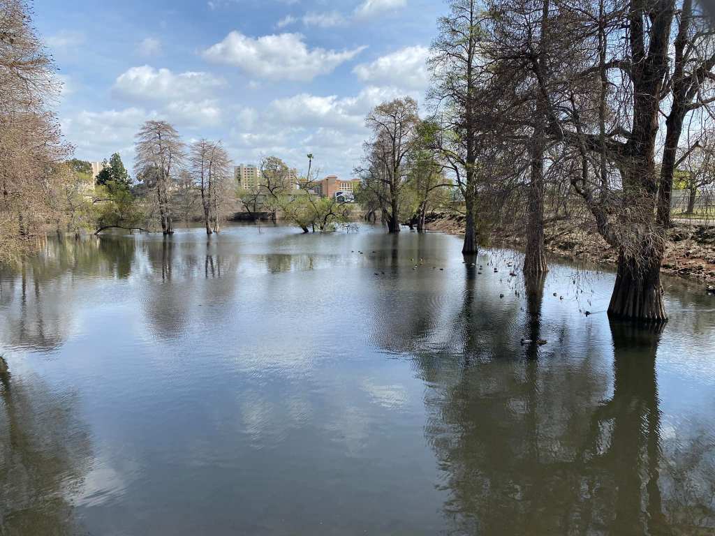 Day 2 of&nbsp;Birdathon!