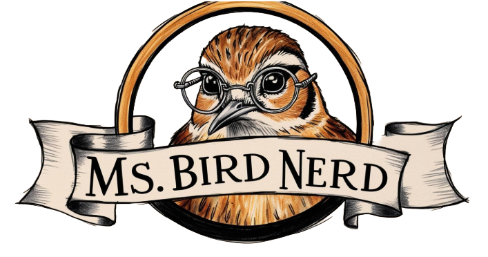 "Tails" of a New Birder's Journey