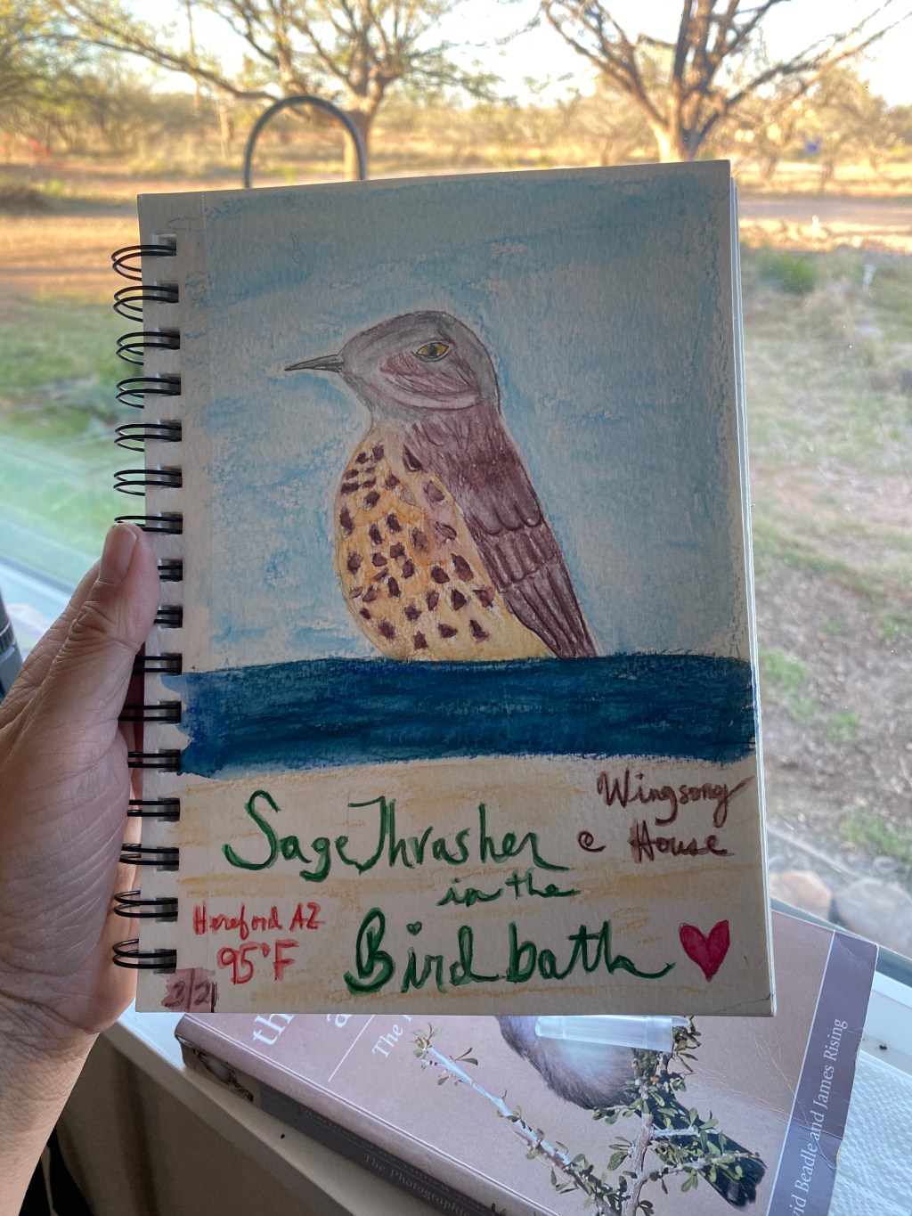 A Sage Thrasher&nbsp;Shower